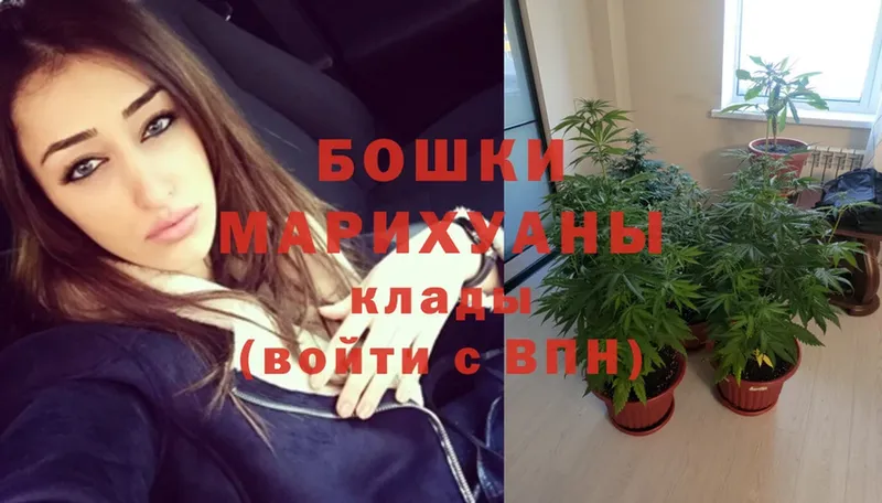 Конопля LSD WEED  Красный Холм 